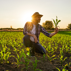 Новая специальность ОСЭК — «Агрономия»