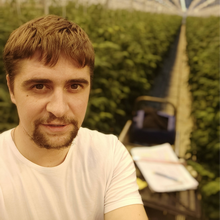 Петров Дмитрий Вячеславович